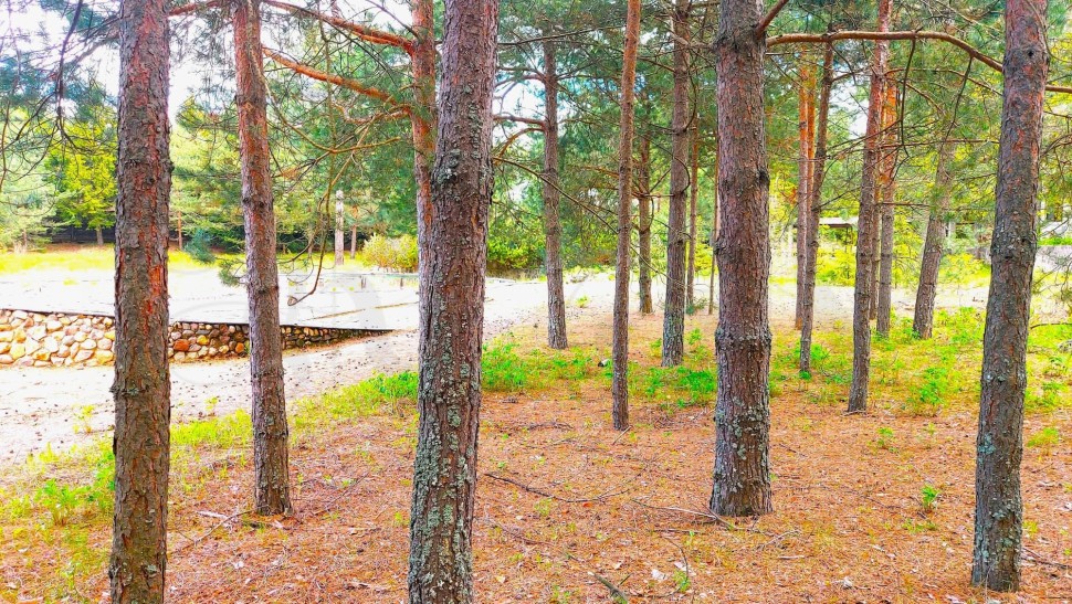 Земельный участок 16 сот., ИЖС, КП Красновидово-2 фото 1 &mdash; RY Estate