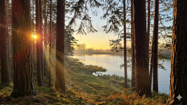 Участок у воды первая линия &mdash; RY Estate